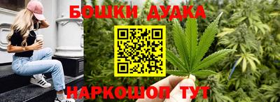 гидра Славгород