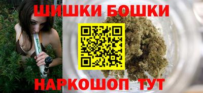 гидра Славгород